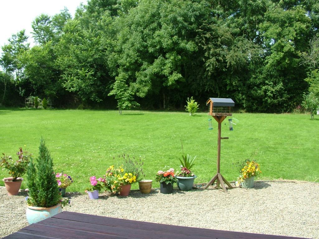 Quarry Ridge B&B Carlow Exterior photo